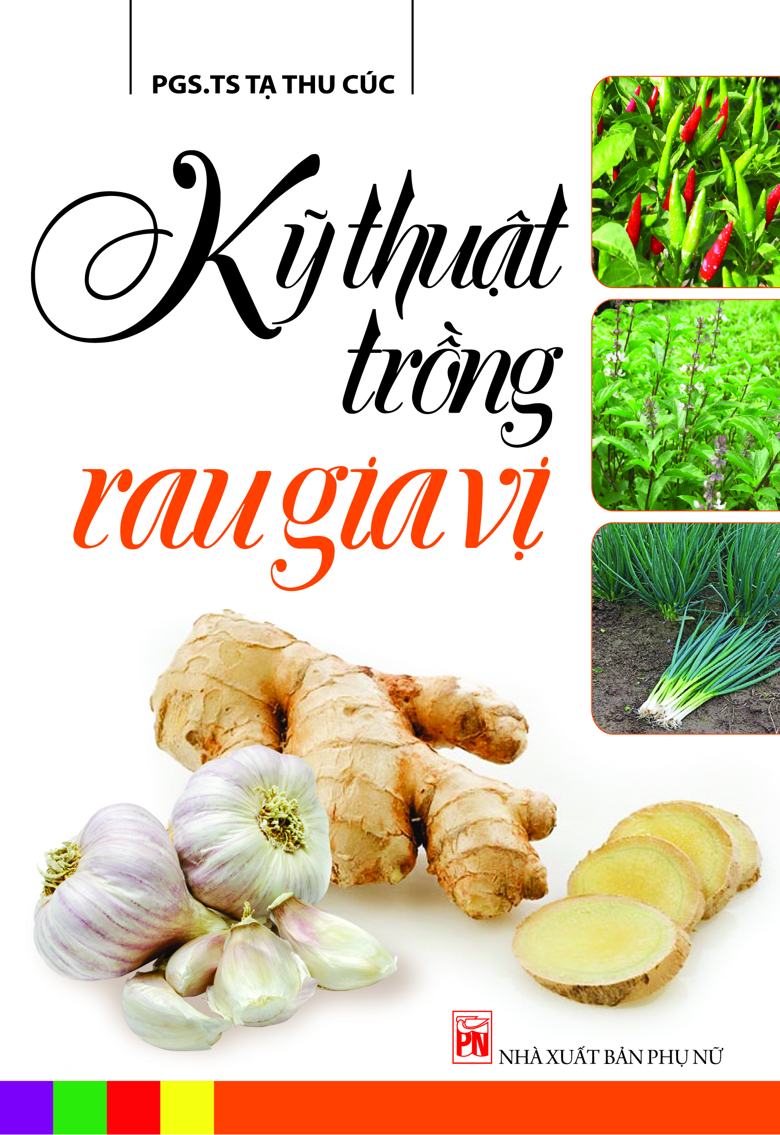Kỹ thuật trồng rau gia vị